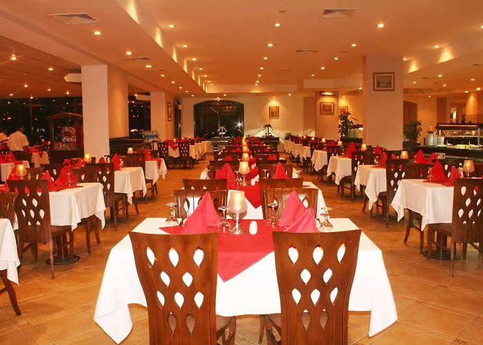 Otel Blend Elphistone