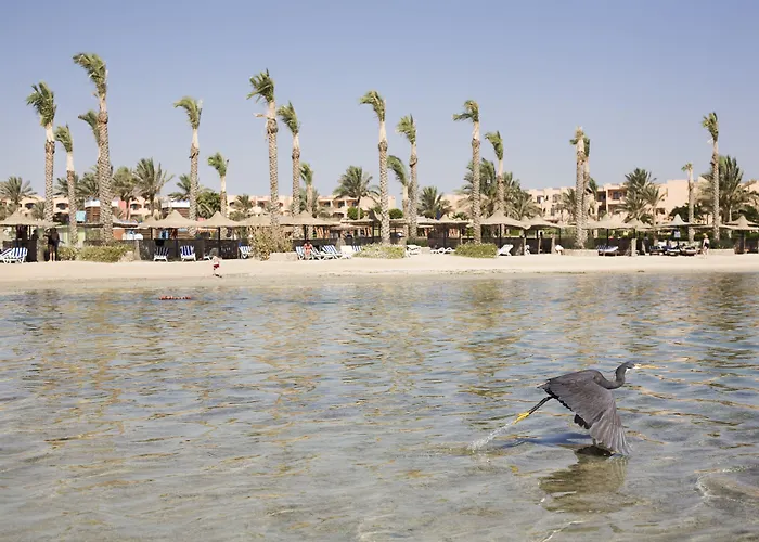 Otel Blend Elphistone Marsa Alem